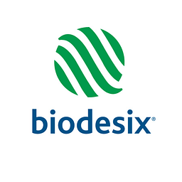 BDSX logo