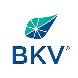 BKV logo