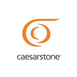 CSTE logo