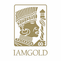IAG logo