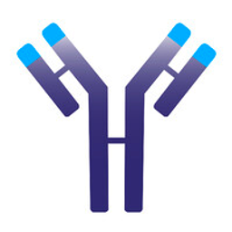 IMVT logo
