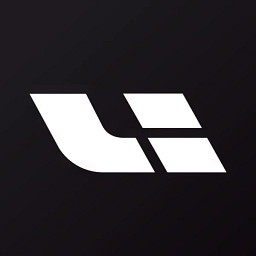 LI logo