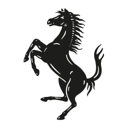 RACE logo