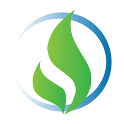 SLNG logo