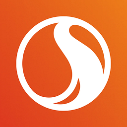STN logo